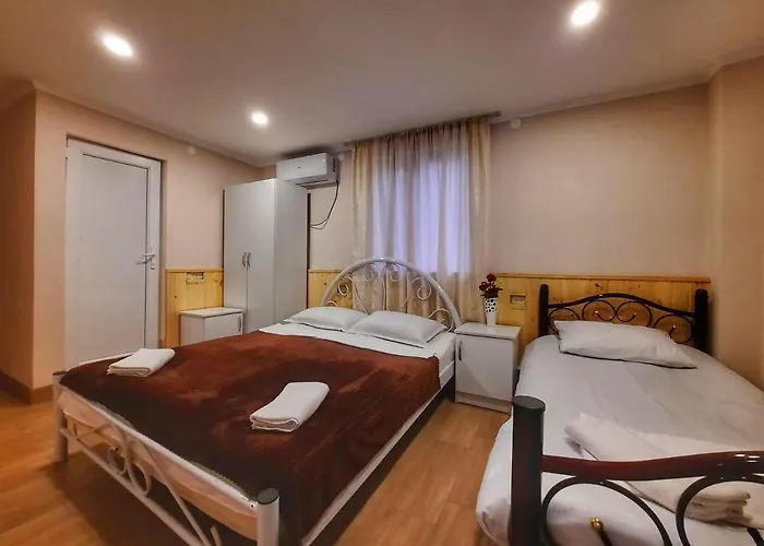 Novel House