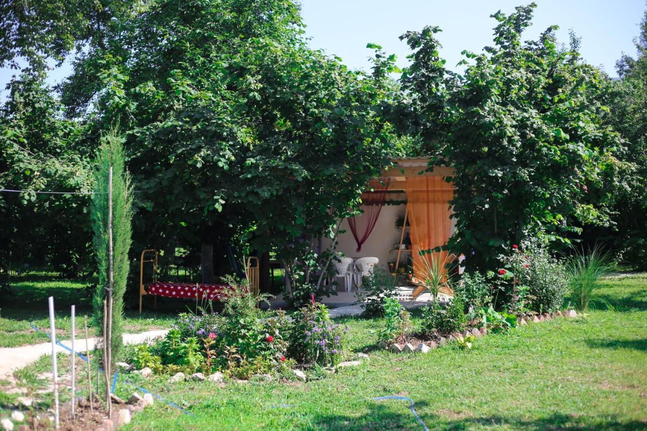 Novel House Martvili