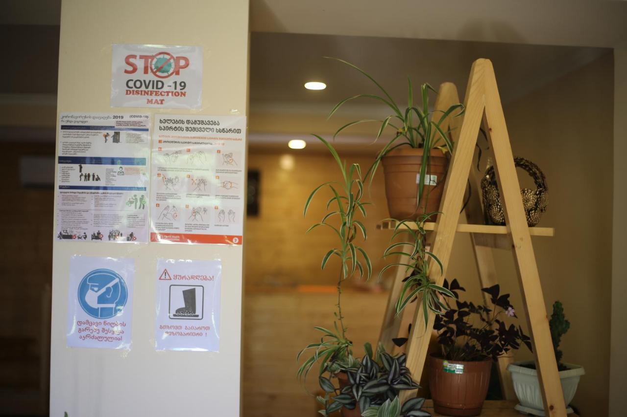 Novel House Apartment Martvili